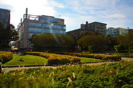 Parc du quartier Saint-Roch